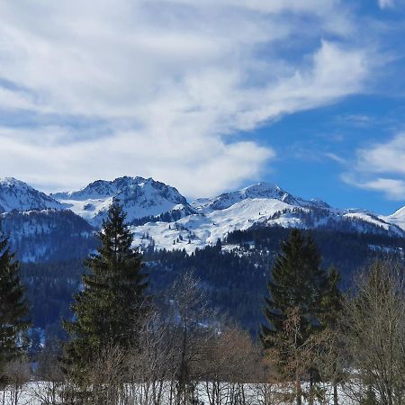 Ferienwohnung App. Mountain View Fieberbrunn Eksteriør bilde