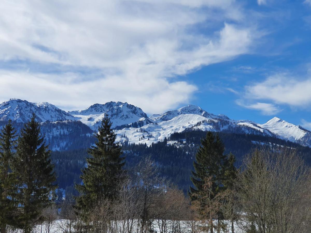 Ferienwohnung App. Mountain View Fieberbrunn Eksteriør bilde